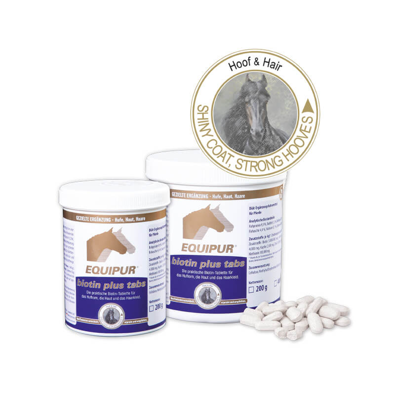 biotin plus tabs in verschiedenen Mengen als Tabletten