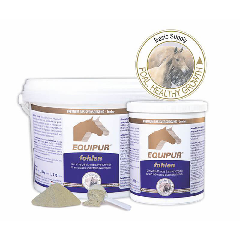 fohlen von Equipr in verschiedenen Grössen als Pulver