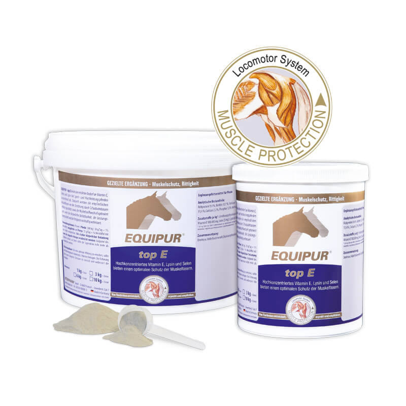 top-E von Equipur in verschiedenen Grössen