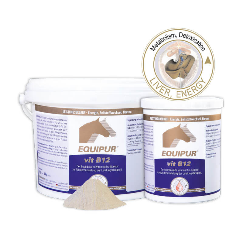 vitamin B 12 von Equipur in verschiedenen Grössen