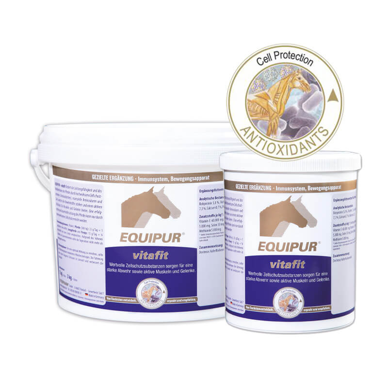 vitafit von Equipur in verschiedenen Grössen