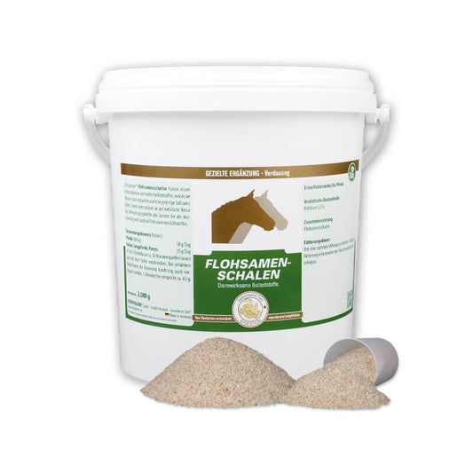 Flohsamenschalen von Vetripham im Eimer als Pulver