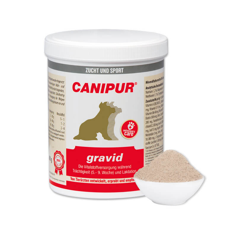 gravid von Canipur in der Dose als Pulver