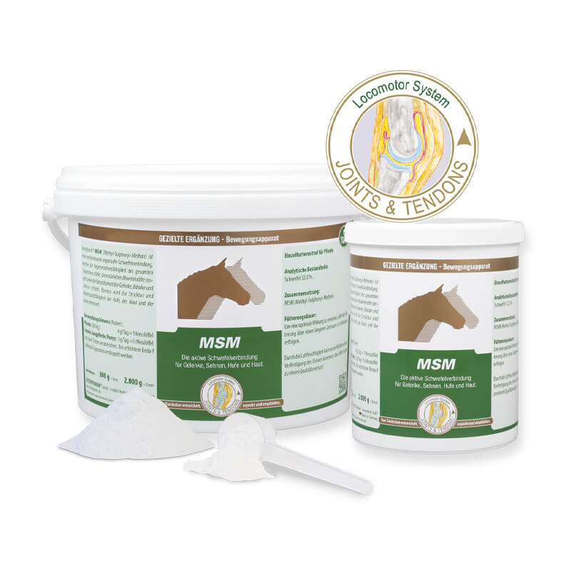 MSM von Vetripharm in verschiedenen Grössen als Pulver