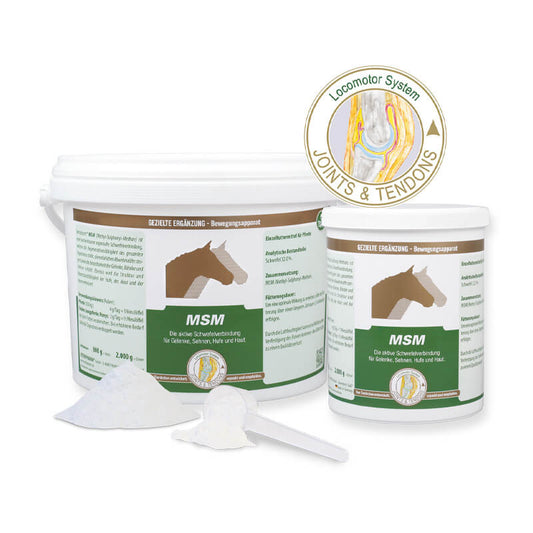 MSM von Vetripharm in verschiedenen Grössen als Pulver