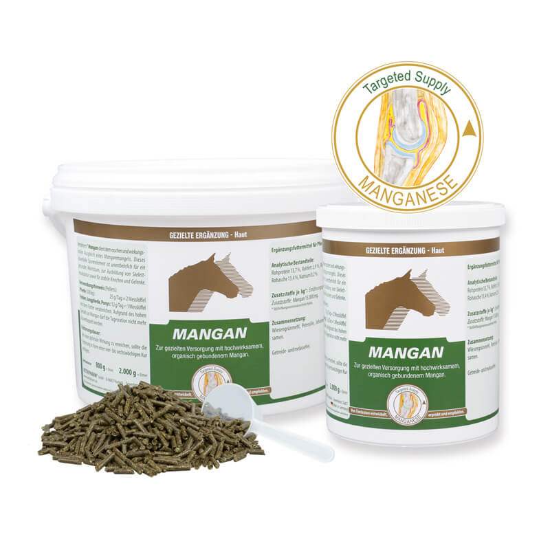 Mangan von Vetripharm