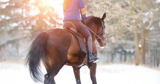 Reiterin und Pferd von hinten im Winter