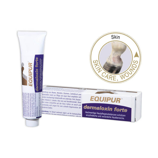dermaloxin forte von Equipur in der Tube